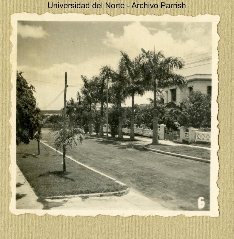 Calle Octava