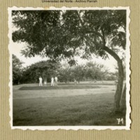 Parrish_Fotos_Urbanizadora_Prado_Heumann_71.jpg